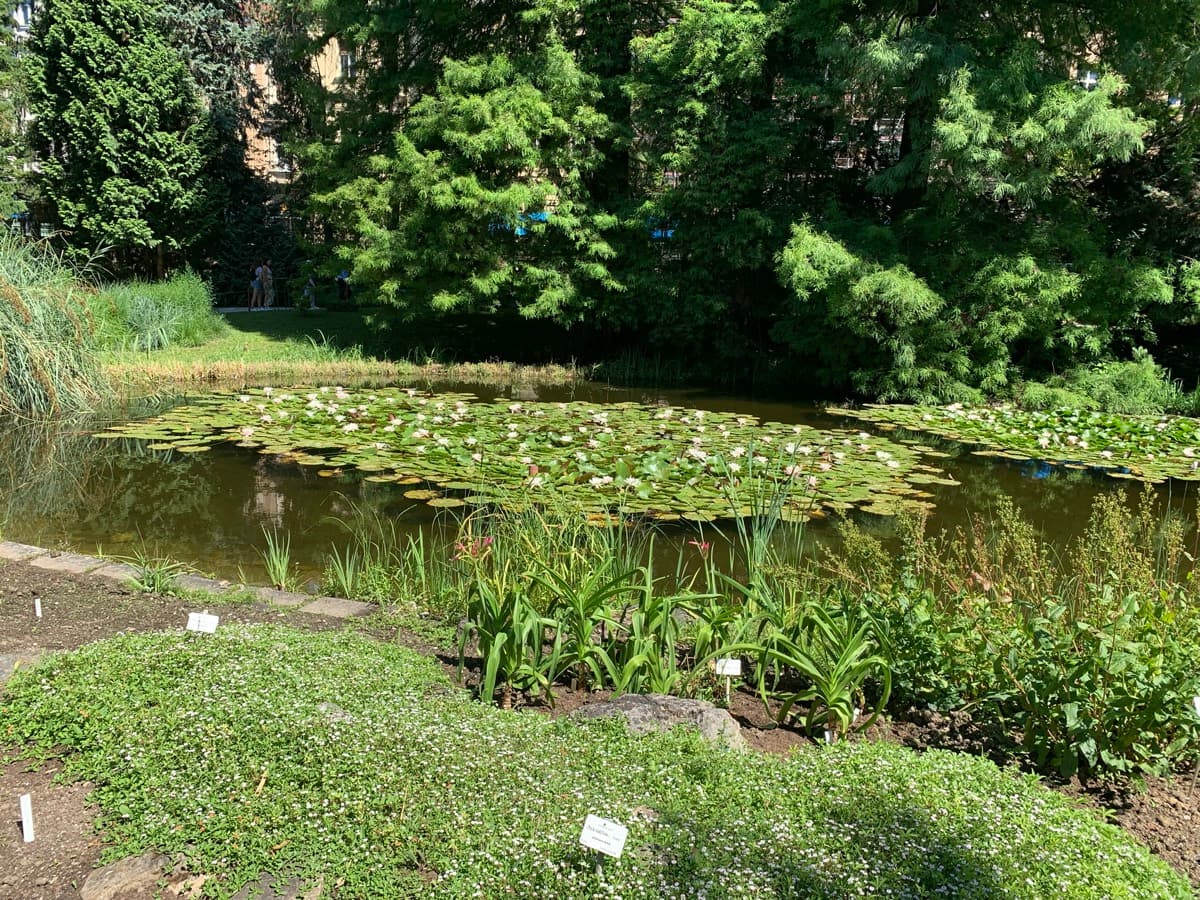 Botanical Garden
