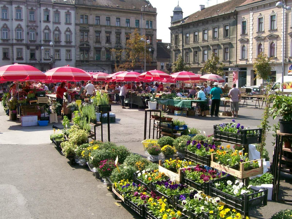British Square (Britanac)
